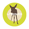 Lassig