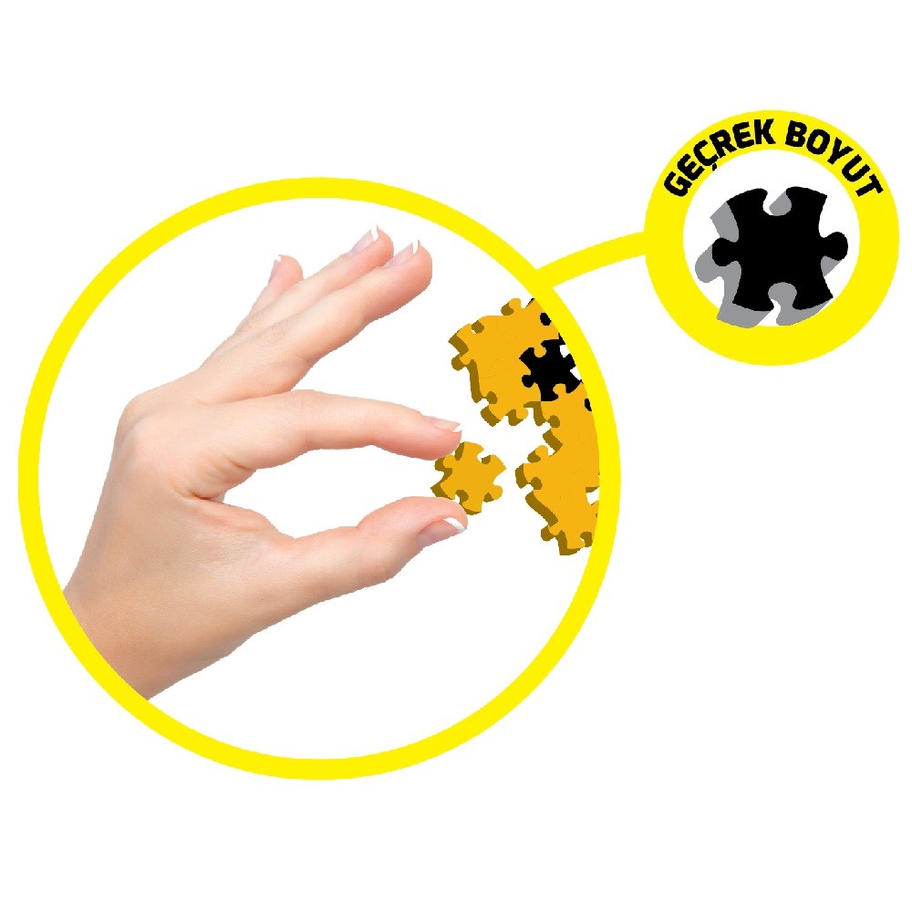 Jixaw Taşıtlar Puzzle 