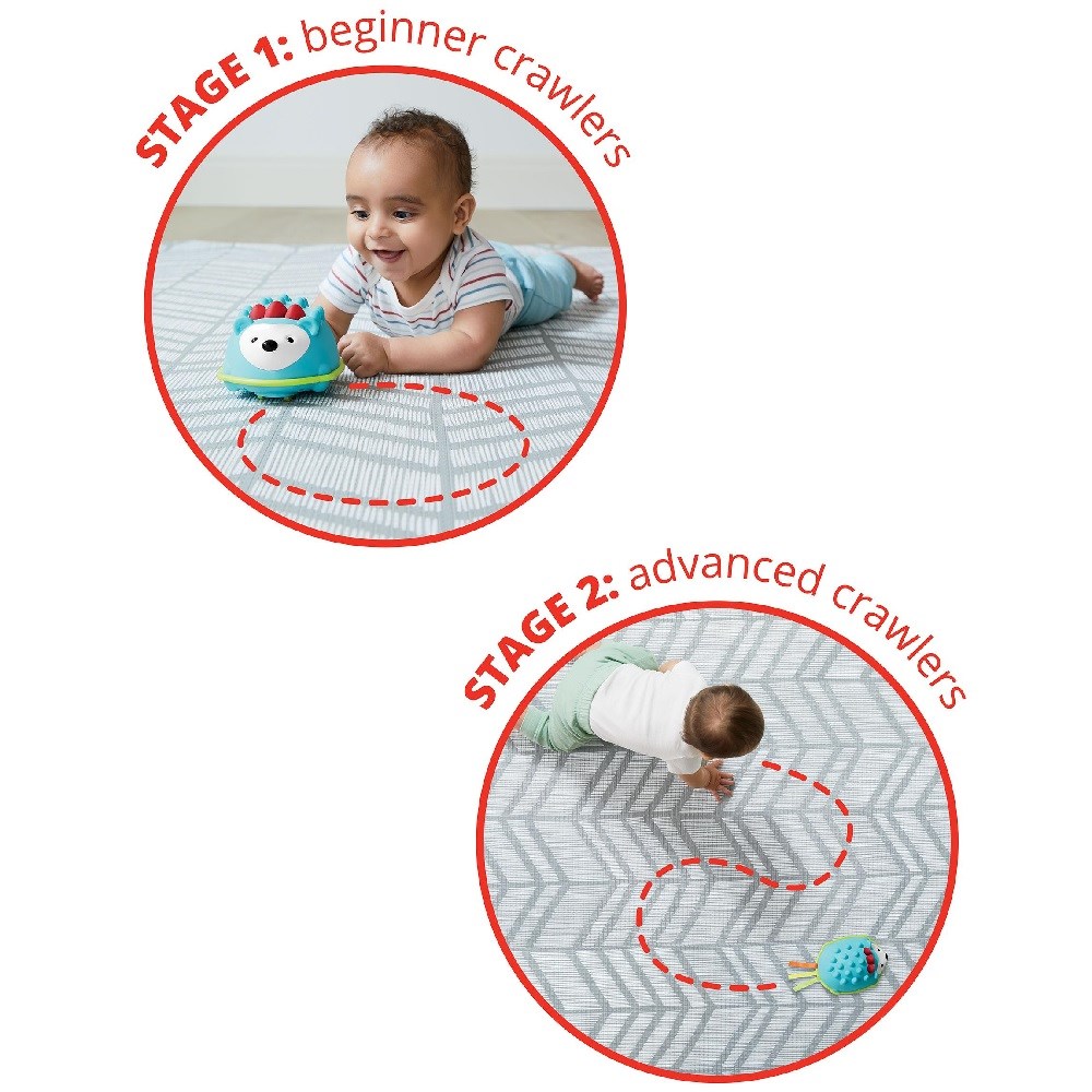 Skip Hop E&M Kirpi Emekleme Oyuncağı 