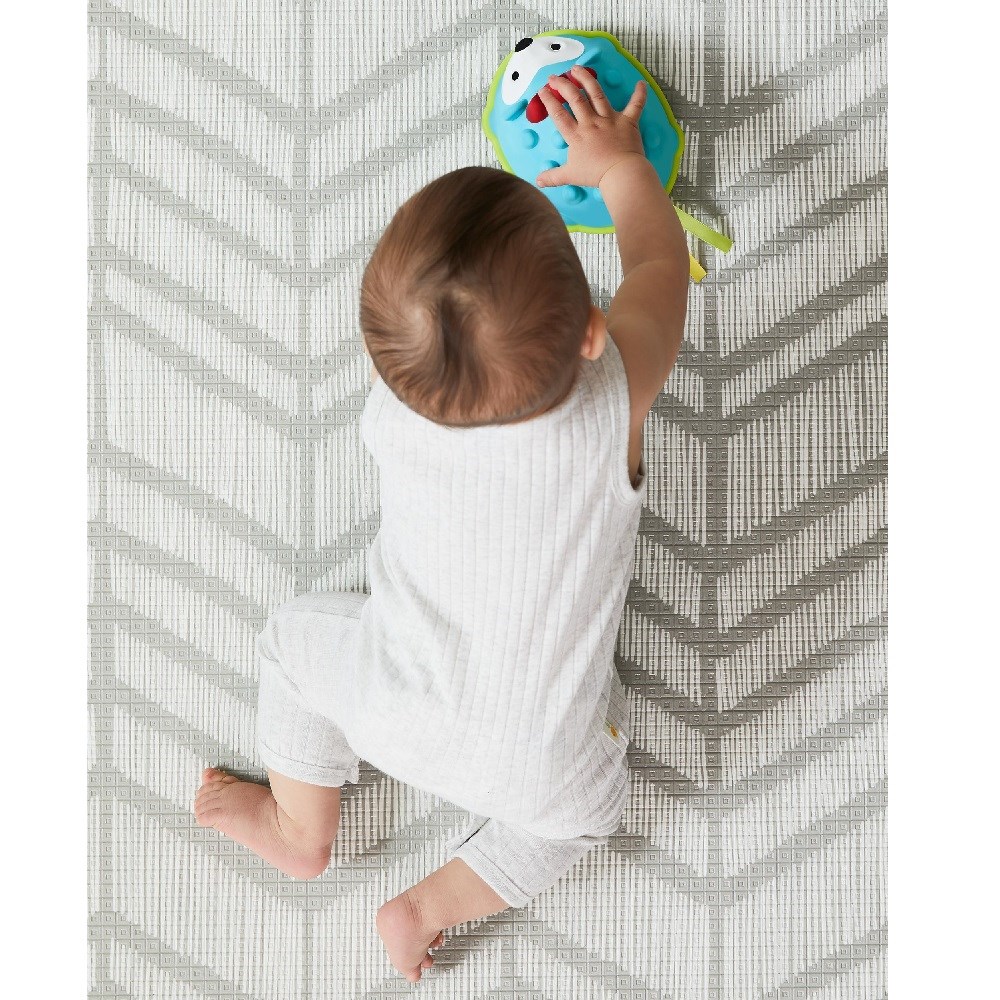 Skip Hop E&M Kirpi Emekleme Oyuncağı 
