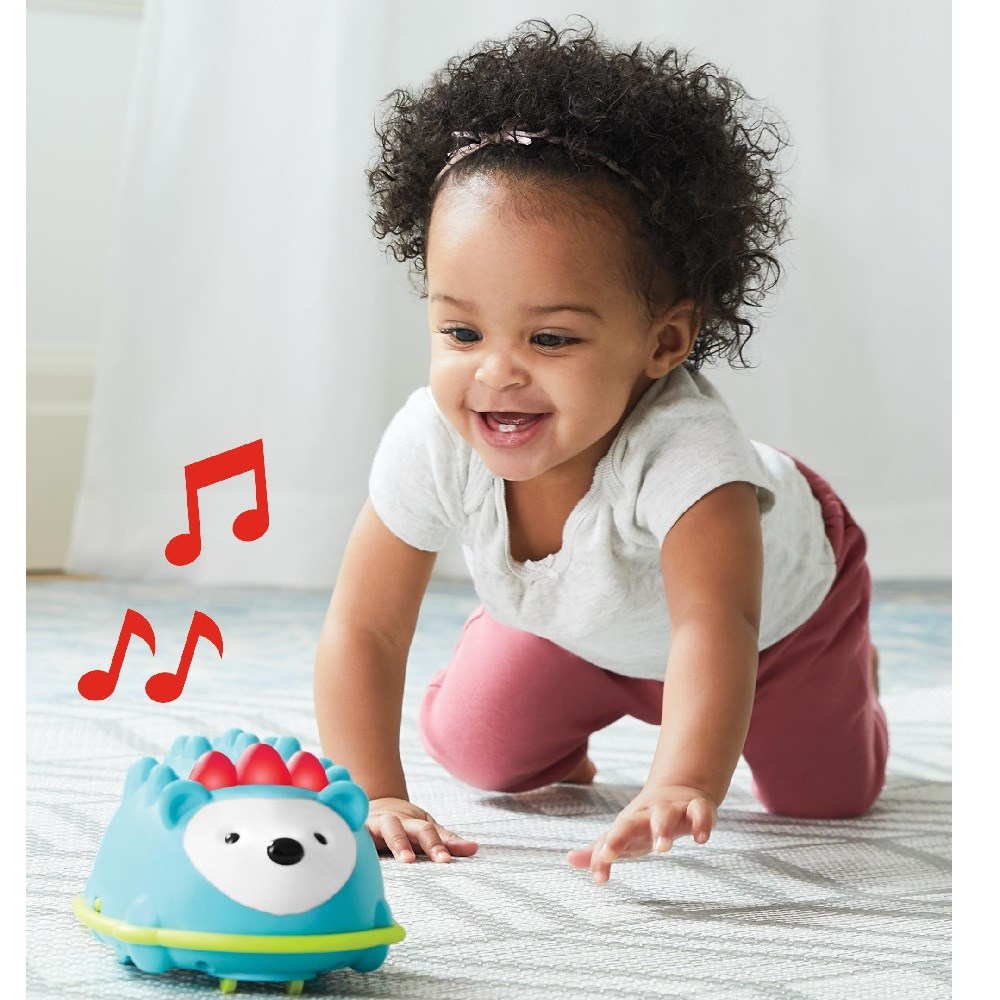 Skip Hop E&M Kirpi Emekleme Oyuncağı 
