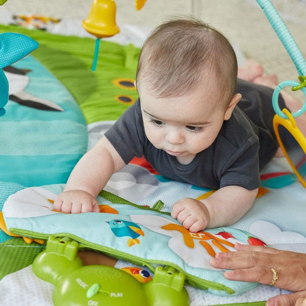 Tiny Love Gymini Tekmele Oyna Çiftlik Oyun Halısı 