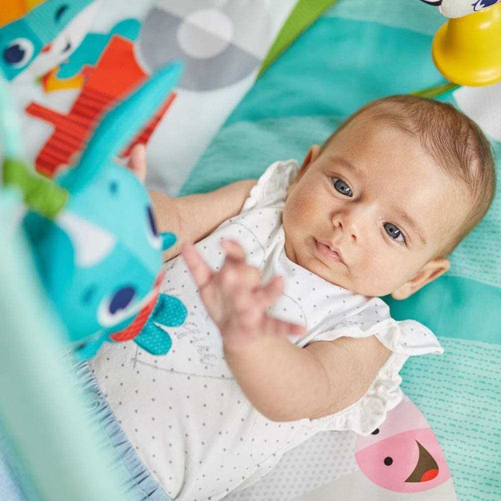 Tiny Love Gymini Tekmele Oyna Çiftlik Oyun Halısı 