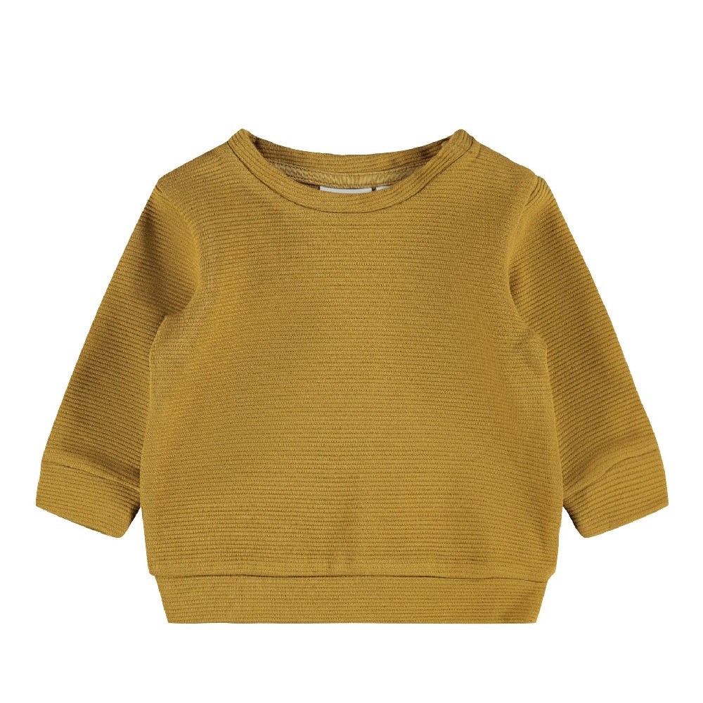 Name It Erkek Organik Pamuk Uzun Kollu 2'li SweatShirt Mavi