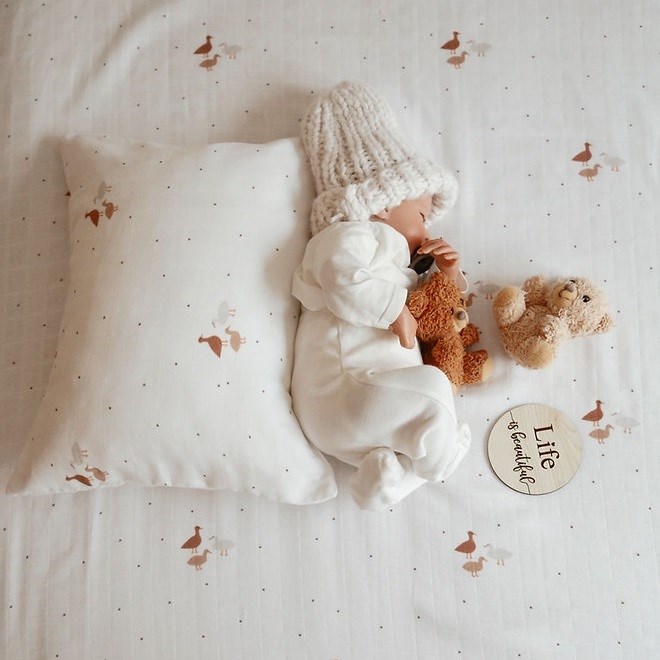 Tarkito Organic Goose 4'lü Jumbo Set Beyaz