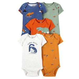 Carter's Kışlık Layette Erkek Bebek 5'li Body Set