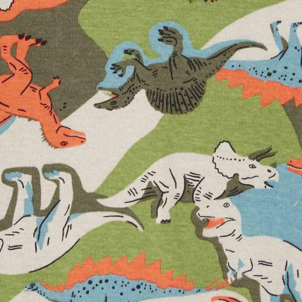Carter's Kışlık Erkek Çocuk 4'lü Pijama Set Yeşil