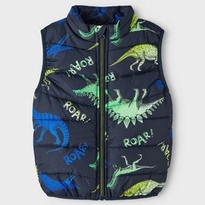 Name It Kışlık Erkek Çocuk Şişme Yelek Dinozor