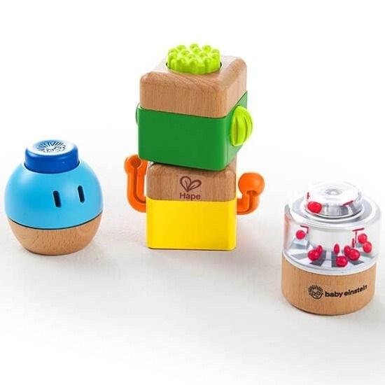 Hape Baby Einstein Four Fundamentals Ahşap Duyu Seti 