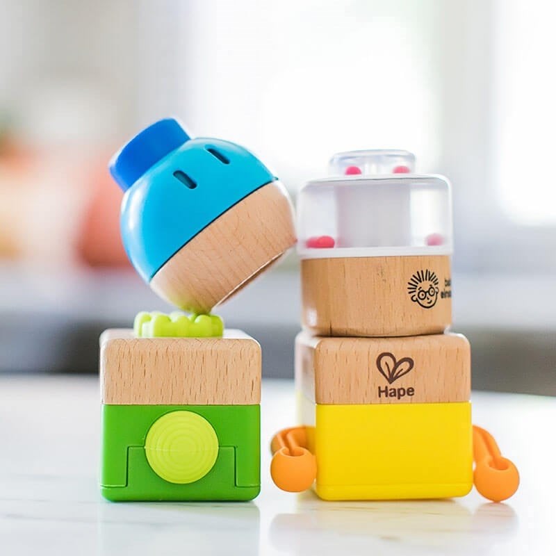 Hape Baby Einstein Four Fundamentals Ahşap Duyu Seti 