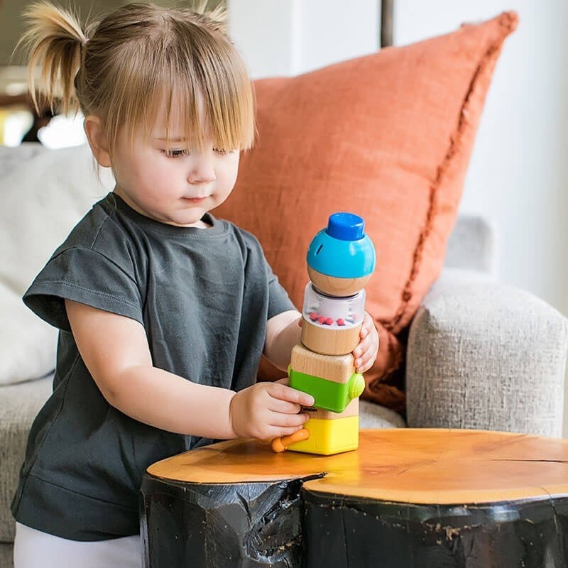 Hape Baby Einstein Four Fundamentals Ahşap Duyu Seti 