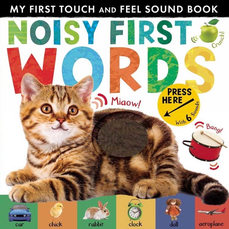 My First Touch and Feel Sound Book: Noisy First Word (New Edition) Eğitici Kitap 