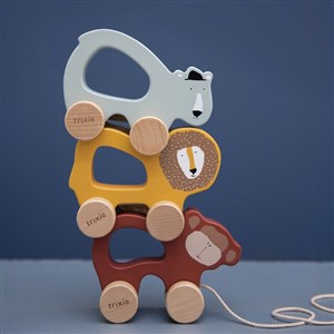 Trıxie Mr. Polar Bear - Ahşap İpli Araba