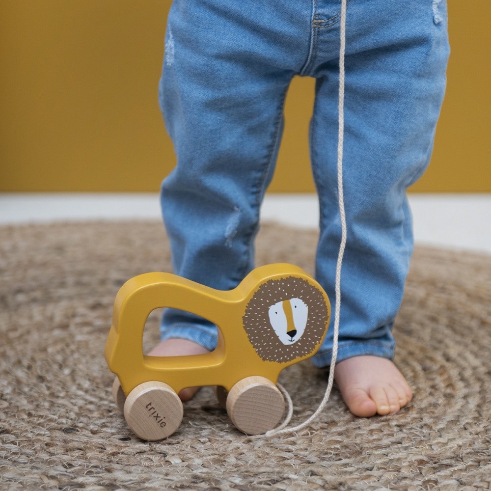 Trıxie Mr. Lion - Ahşap İpli Araba 