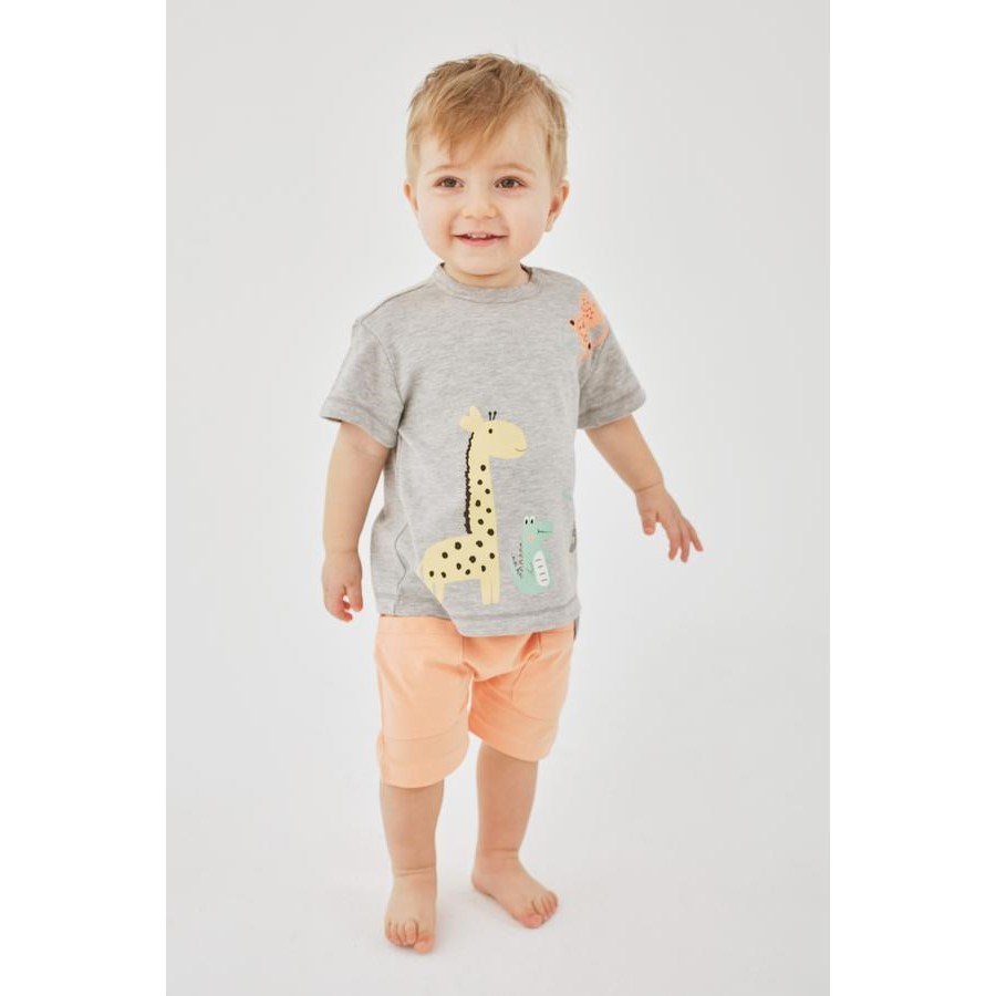 Miny Center Yazlık Erkek Bebek Tshirt Gri