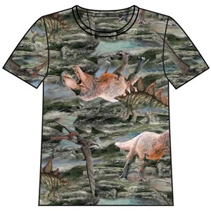 Name It Yazlık Erkek Organik Kısa Kol T-shirt