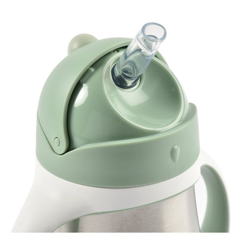 Beaba 250 Ml Çelik Pipetli Suluk Sage Green 