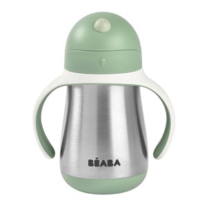 Beaba 250 Ml Çelik Pipetli Suluk Sage Green