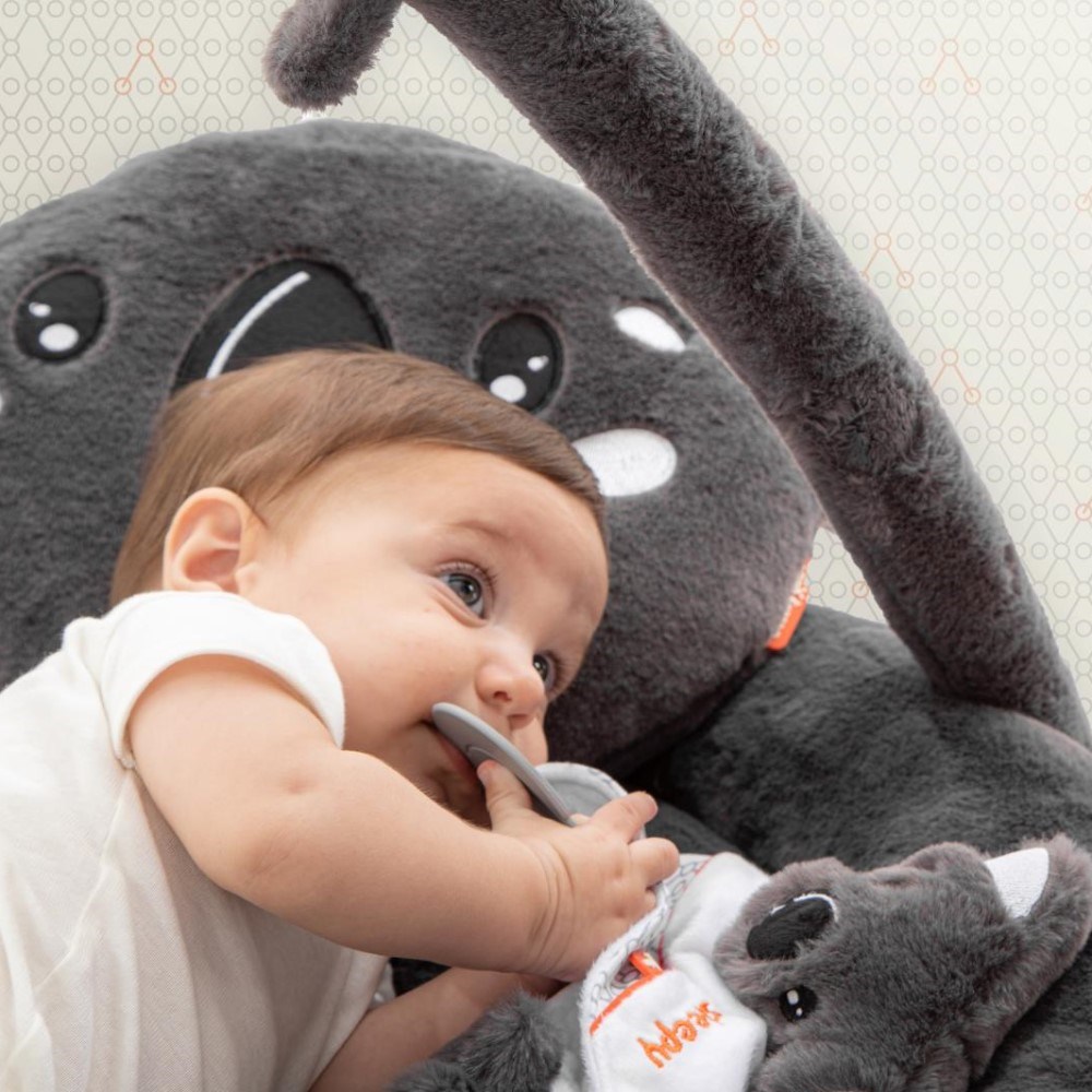 Gezenbebe Enjoy Aktivite & Oyun Matı Koala 