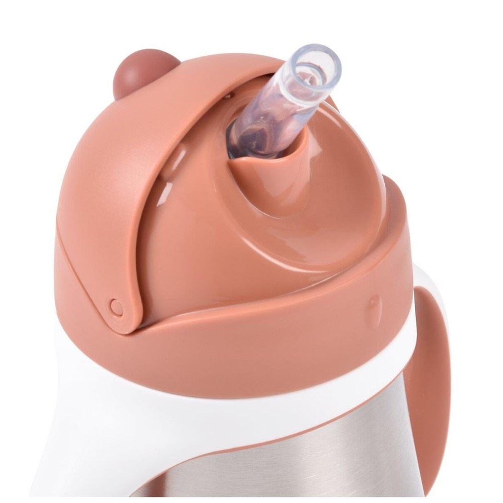 Beaba 250 Ml Çelik Pipetli Suluk Terracotta 