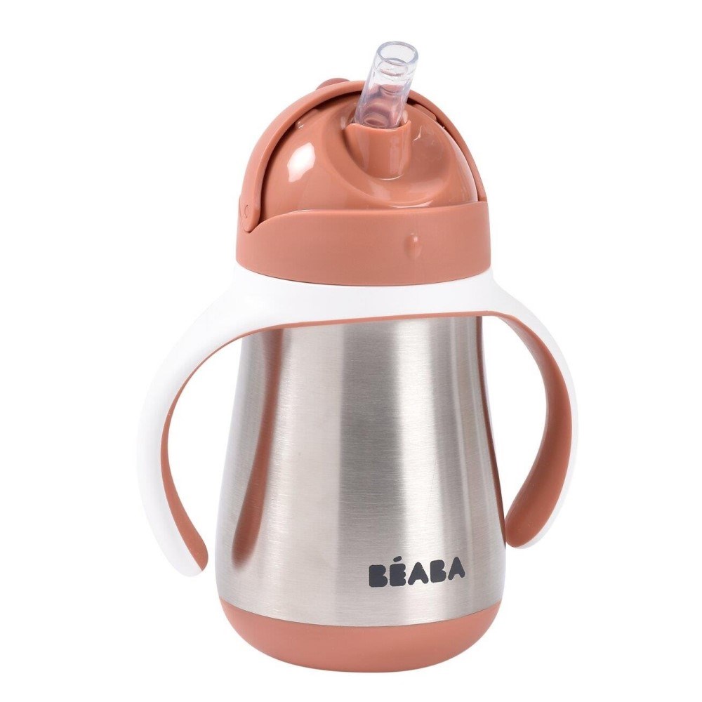 Beaba 250 Ml Çelik Pipetli Suluk Terracotta 