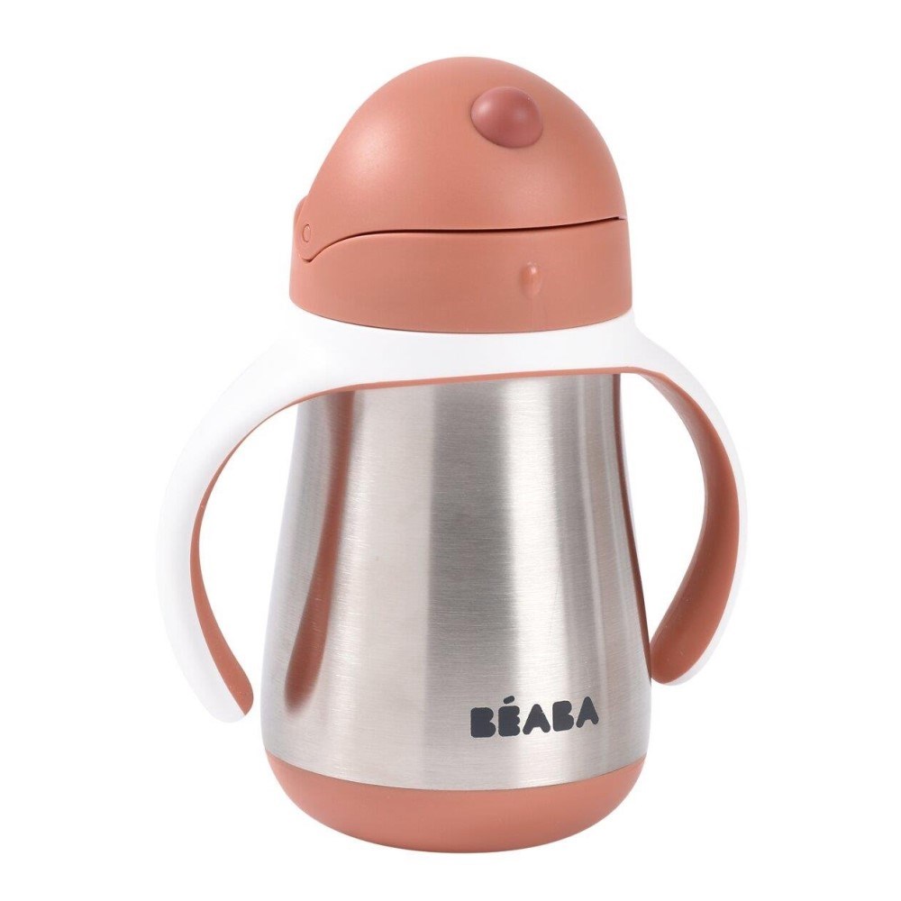 Beaba 250 Ml Çelik Pipetli Suluk Terracotta
