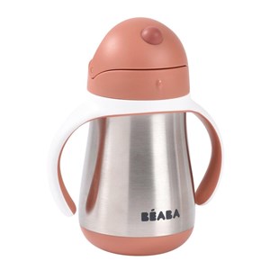 Beaba 250 Ml Çelik Pipetli Suluk Terracotta