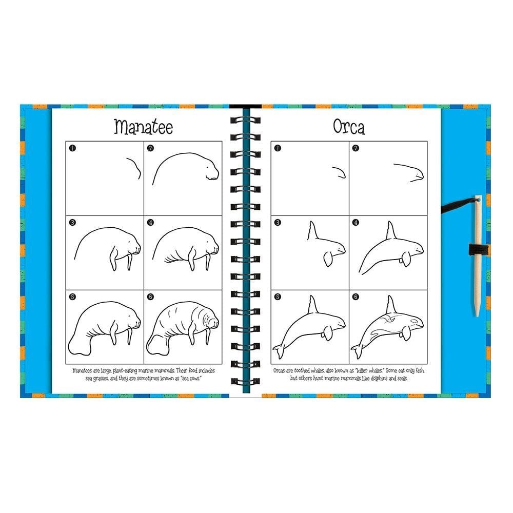 Scratch And Draw - Ocean Animals 