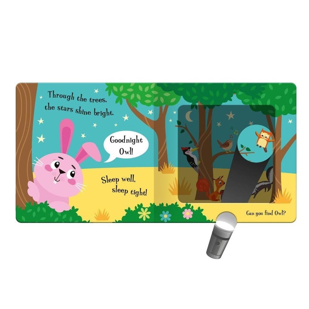 Goodnight Bunny - A Magic Torch Book 