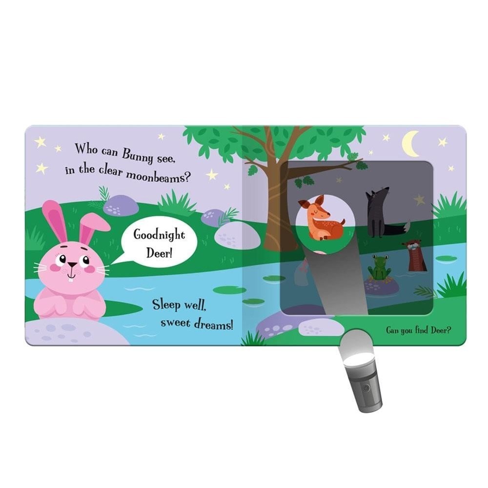 Goodnight Bunny - A Magic Torch Book 