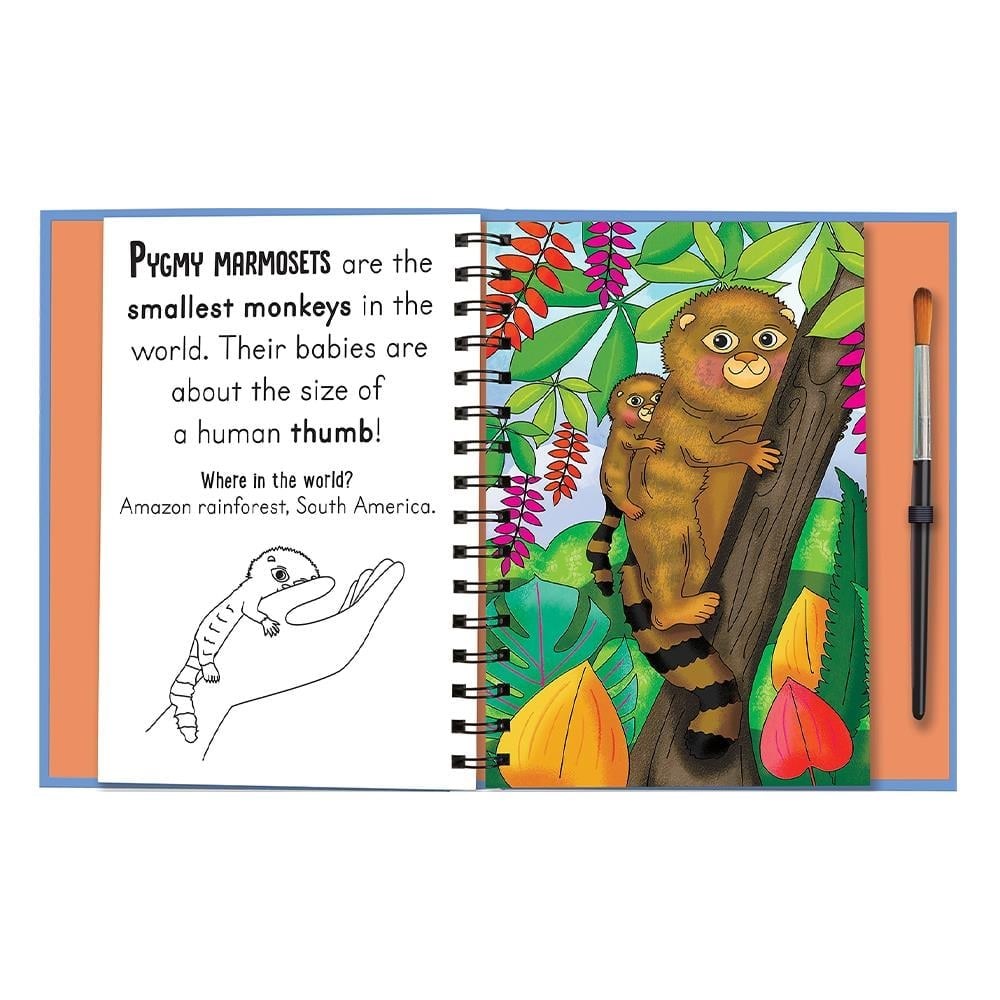 Magic Water Colouring - Baby Animals 