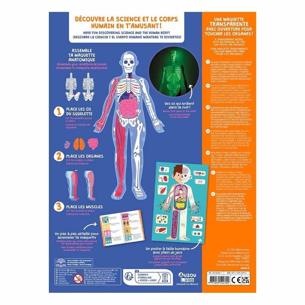 İnsan Vücudunu Keşfediyorum Poster - Model ve Kitap Orjinal