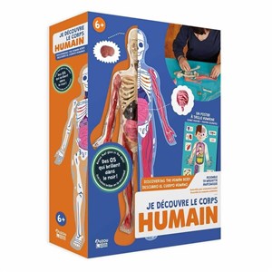 İnsan Vücudunu Keşfediyorum Poster - Model ve Kitap