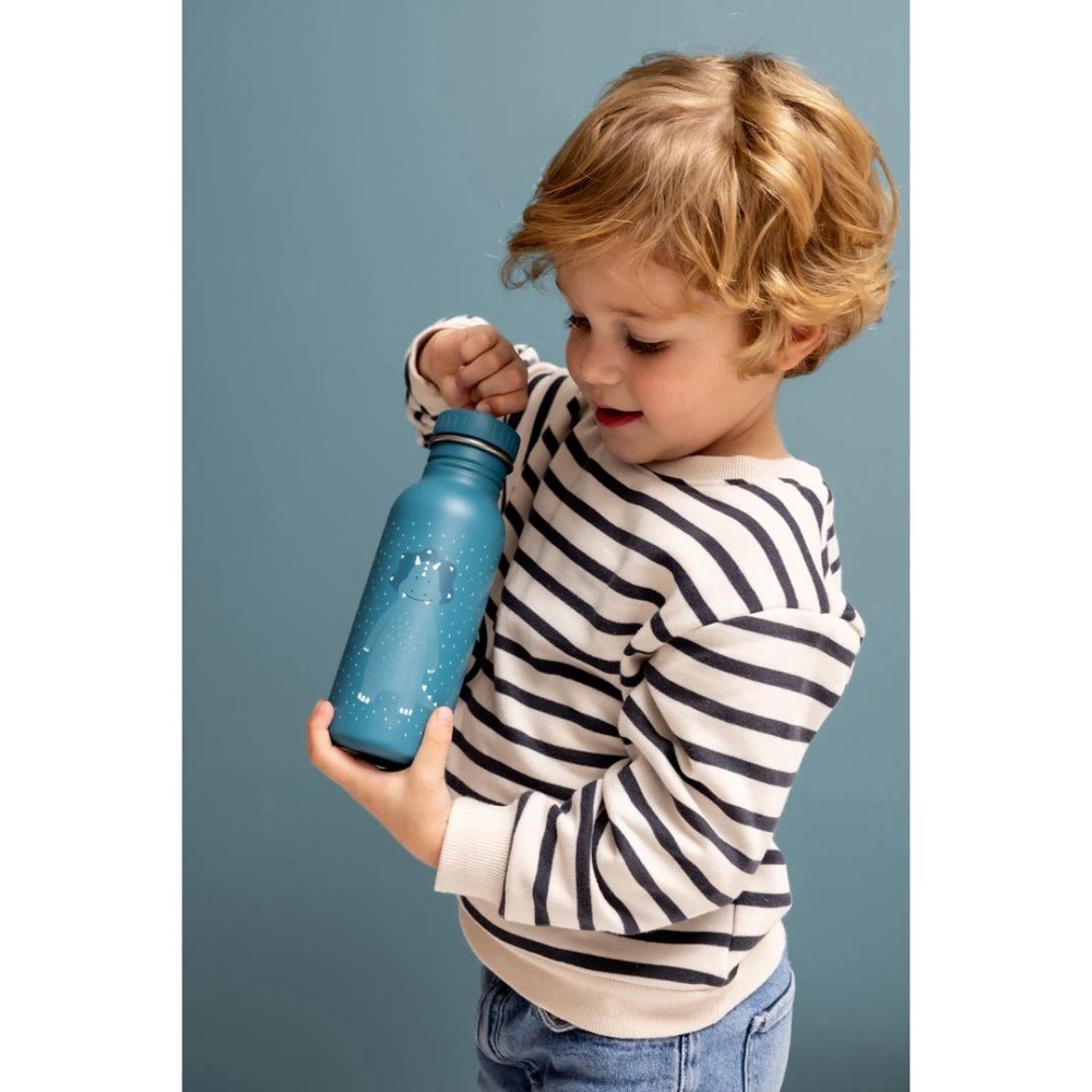 Trıxi Çocuk Çelik Su Şişesi 350 ml - Mr.Triceratops 