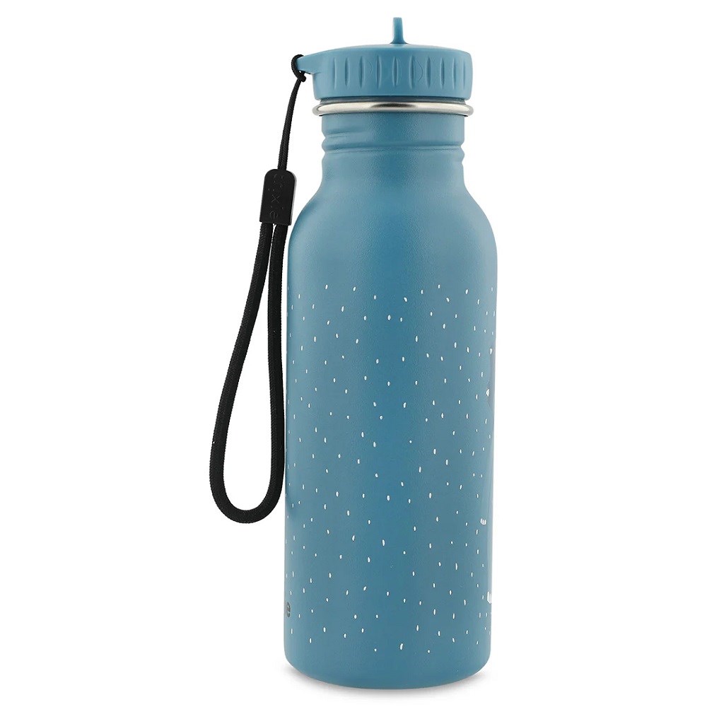 Trıxie Çocuk Çelik Su Şişesi 500 ml  Mr Triceratops 