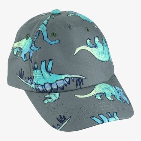 Carter's Erkek Çocuk Şapka Gri