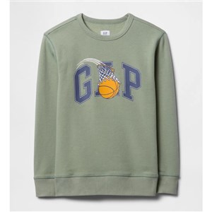 GAP Erkek Çocuk Logolu Sweatshirt